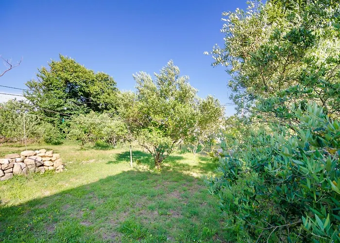 Marija I Lino ロパール